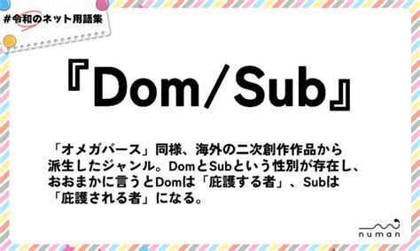 ドムサブとは|「Dom/Subユニバース」の意味や使い方 わかりやすく解説。